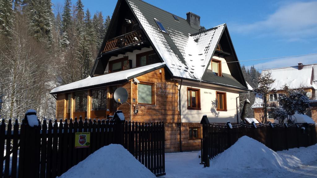 Homestay Srebrny Potok Zakopane Exteriér fotografie