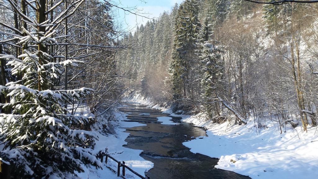 Homestay Srebrny Potok Zakopane Exteriér fotografie